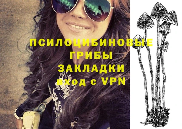 твердый Михайловка