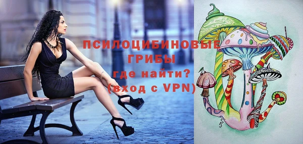 твердый Михайловка