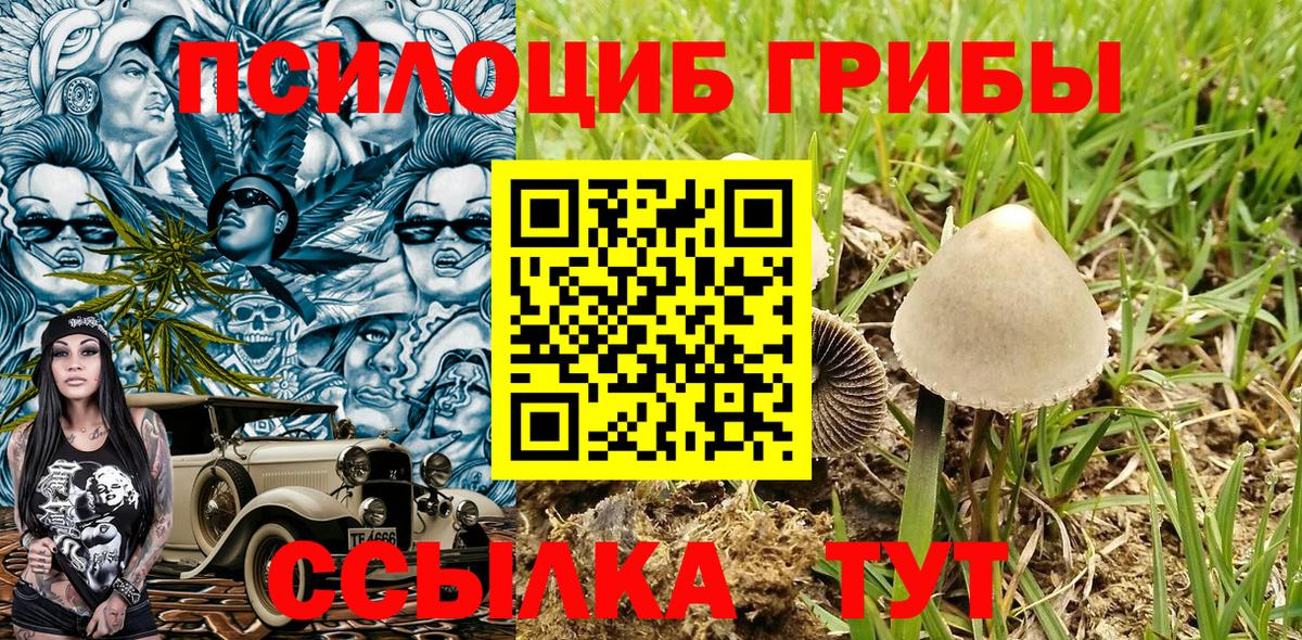 Галлюциногенные грибы мухоморы Фрязино
