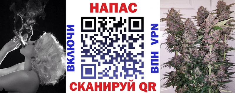 Каннабис конопля  где найти   Фрязино 